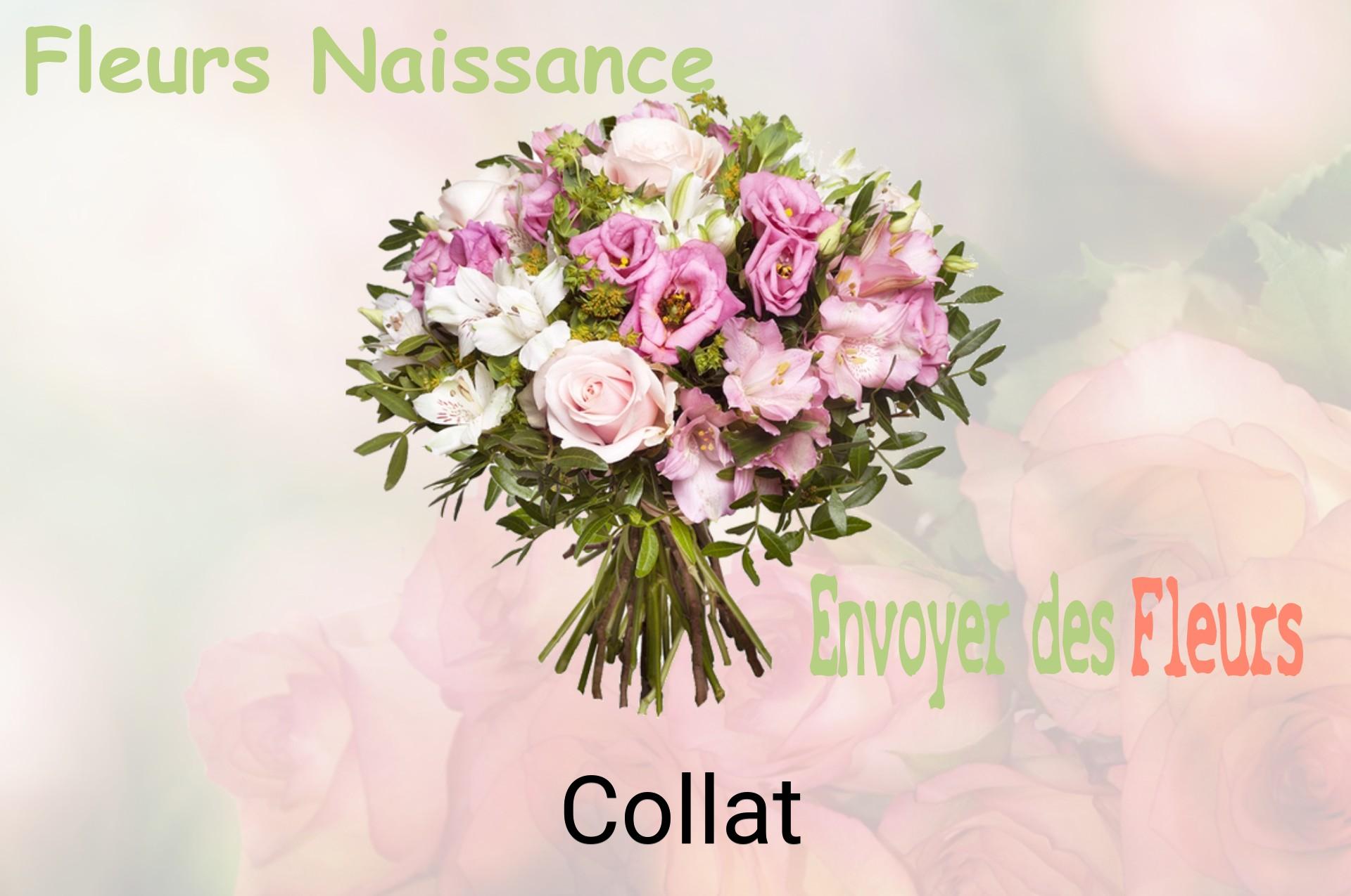 Bouquet de fleurs de naissance livré à Collat