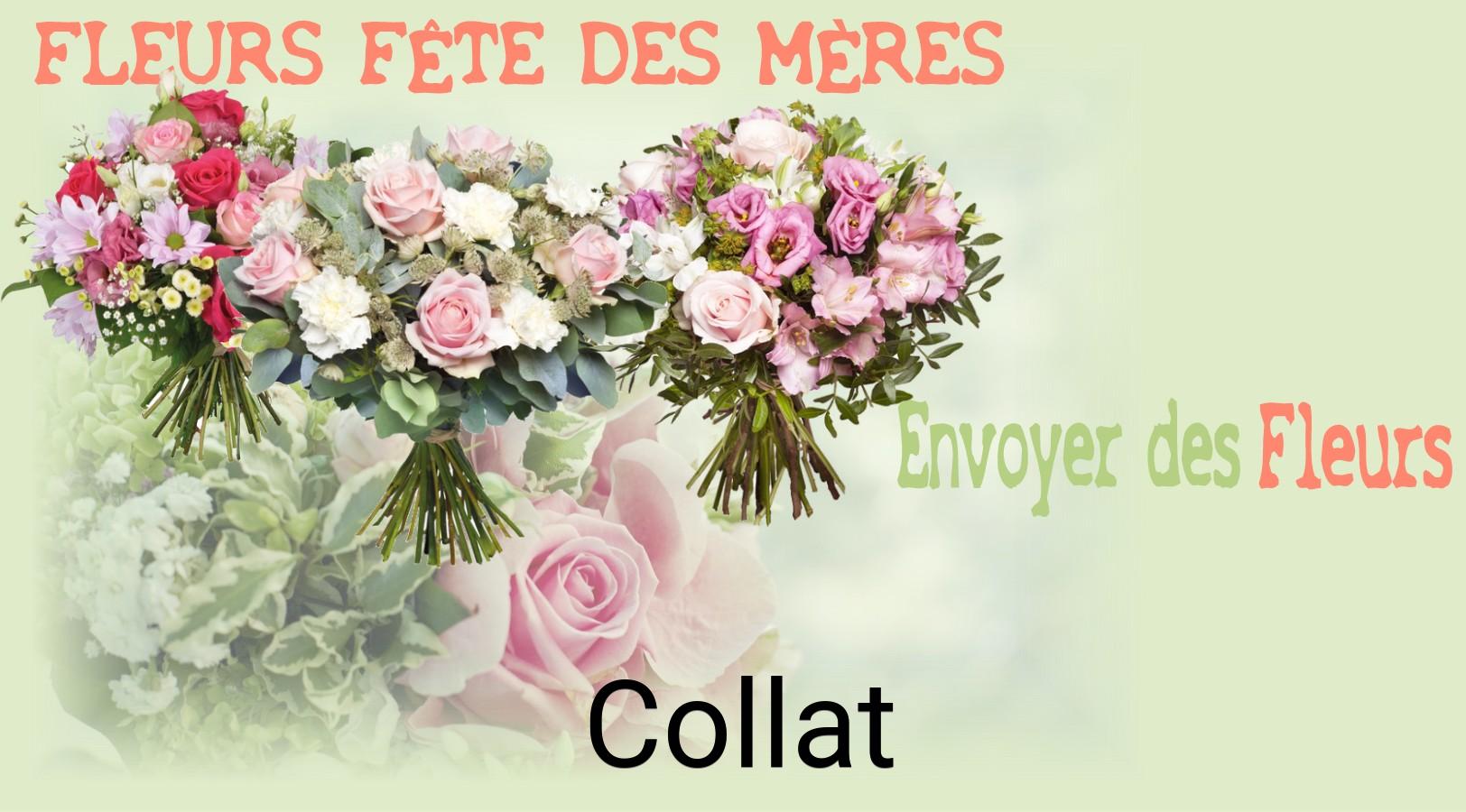 Bouquet de Fête des Mères livré à Collat